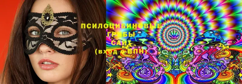 Псилоцибиновые грибы Magic Shrooms  shop телеграм  Барабинск  даркнет сайт 